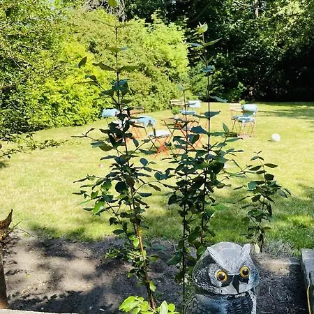 Aday - Mansion - Open Bright With Garden *