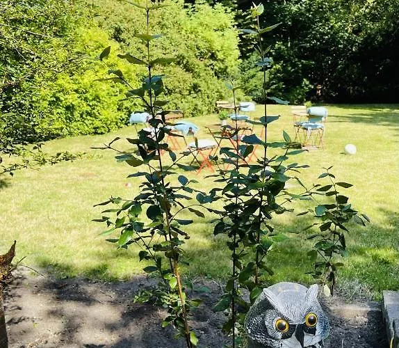 Aday - Mansion - Open Bright With Garden *